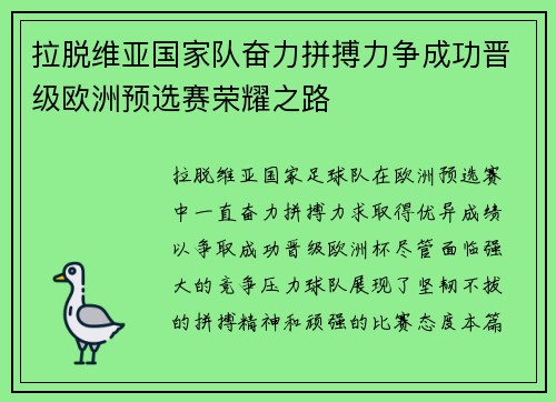 拉脱维亚国家队奋力拼搏力争成功晋级欧洲预选赛荣耀之路