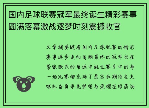 国内足球联赛冠军最终诞生精彩赛事圆满落幕激战逐梦时刻震撼收官